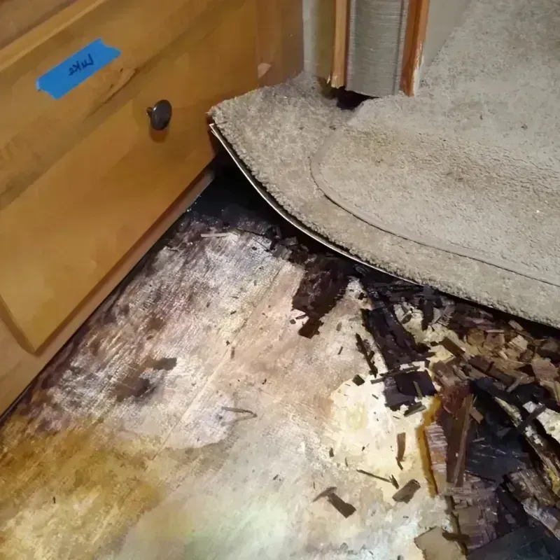 Wood Floor Water Damage in Oakhurst, NJ